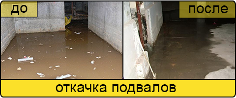 Услуга ассенизаторов в Сургуте